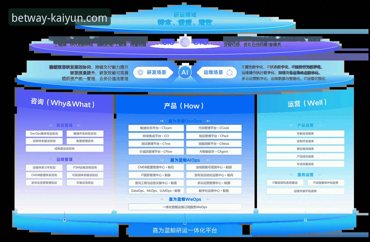 kaiyun安全吗？从用户反馈到技术架构的全面深度分析